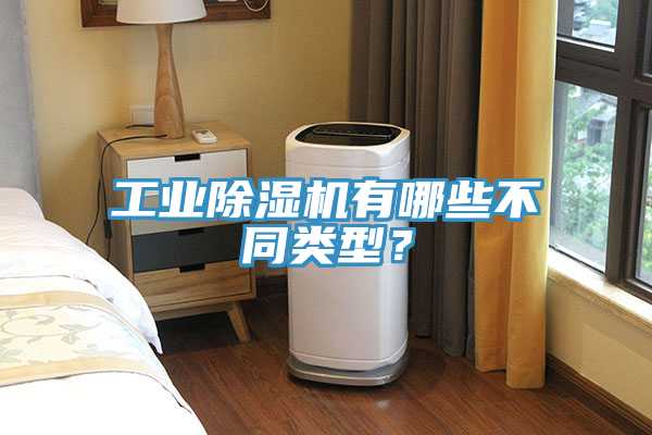工業(yè)除濕機(jī)有哪些不同類型？