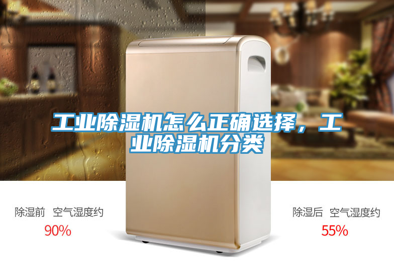 工業(yè)除濕機(jī)怎么正確選擇，工業(yè)除濕機(jī)分類(lèi)
