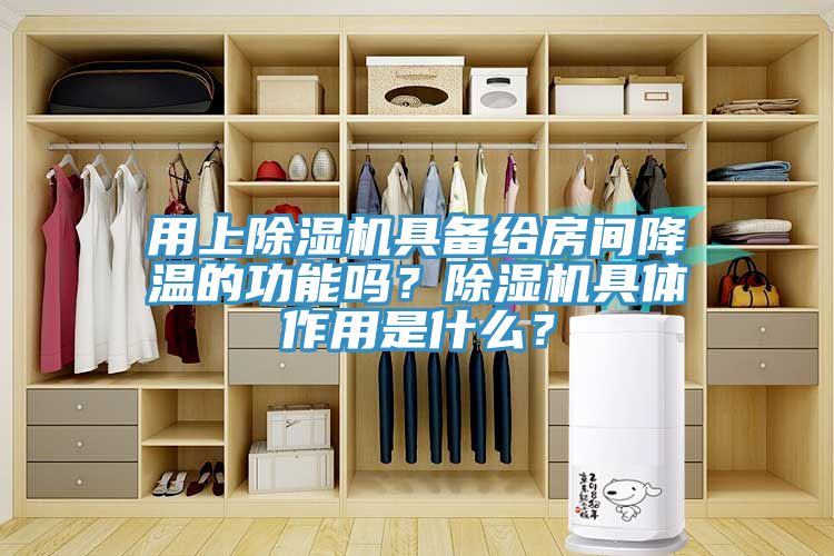 用上除濕機具備給房間降溫的功能嗎？除濕機具體作用是什么？
