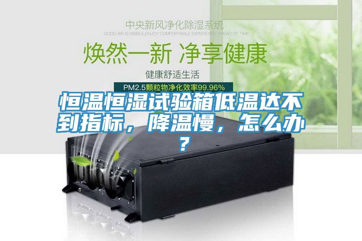恒溫恒濕試驗(yàn)箱低溫達(dá)不到指標(biāo)，降溫慢，怎么辦？
