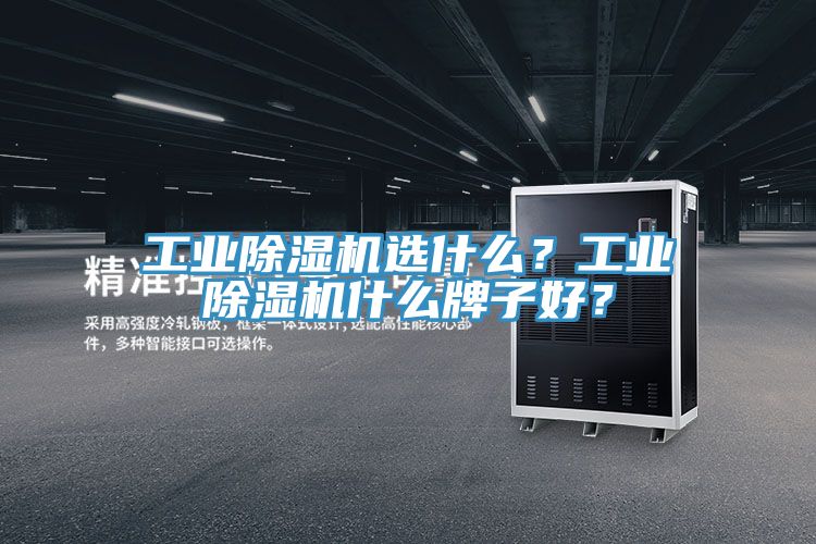工業(yè)除濕機選什么？工業(yè)除濕機什么牌子好？