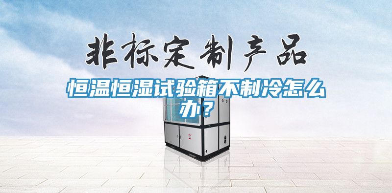 恒溫恒濕試驗(yàn)箱不制冷怎么辦？