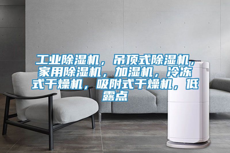 工業(yè)除濕機，吊頂式除濕機，家用除濕機，加濕機，冷凍式干燥機，吸附式干燥機，低露點