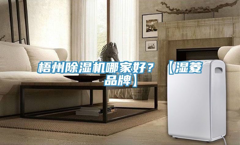 梧州除濕機哪家好？【濕菱品牌】