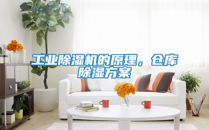 工業(yè)除濕機的原理，倉庫除濕方案