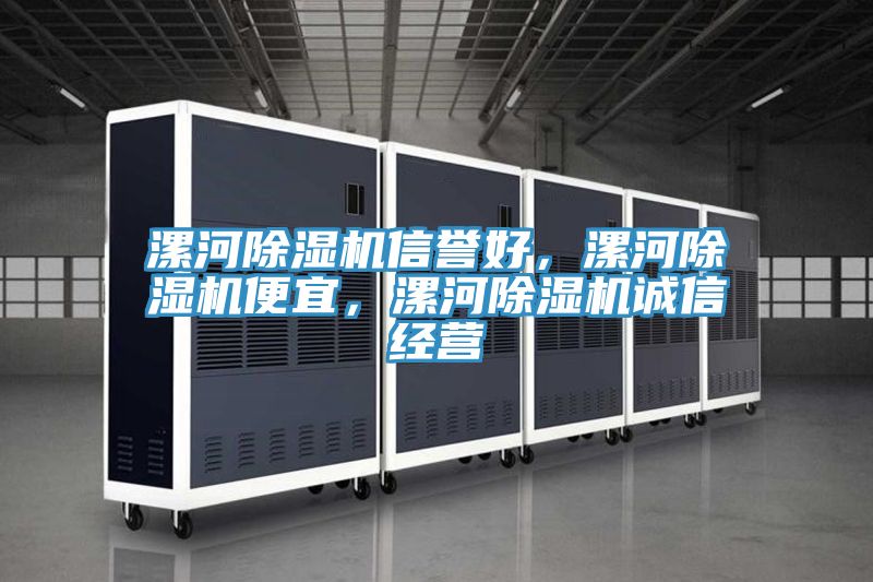 漯河除濕機信譽好，漯河除濕機便宜，漯河除濕機誠信經(jīng)營