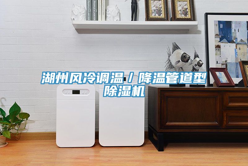 湖州風(fēng)冷調(diào)溫／降溫管道型除濕機