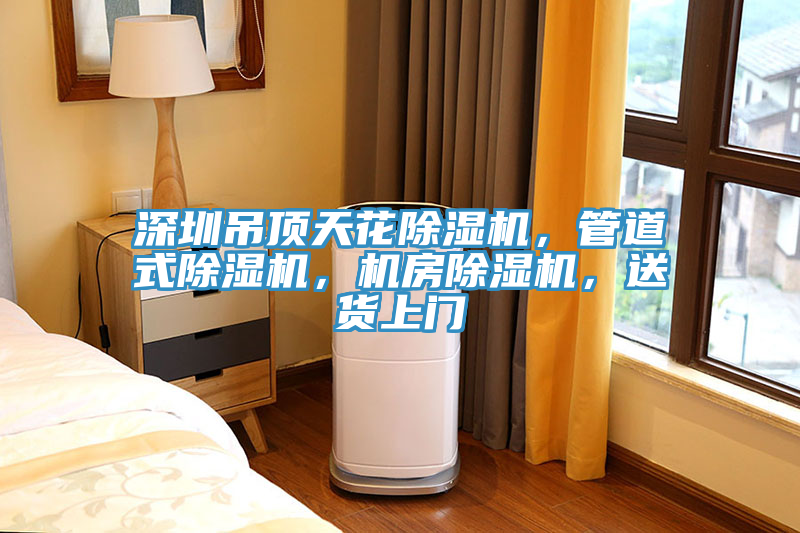 深圳吊頂天花除濕機(jī)，管道式除濕機(jī)，機(jī)房除濕機(jī)，送貨上門