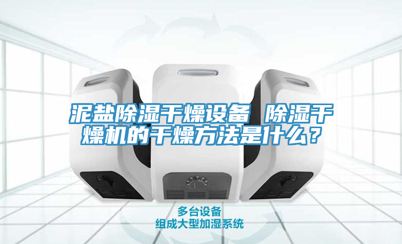 泥鹽除濕干燥設(shè)備 除濕干燥機的干燥方法是什么？