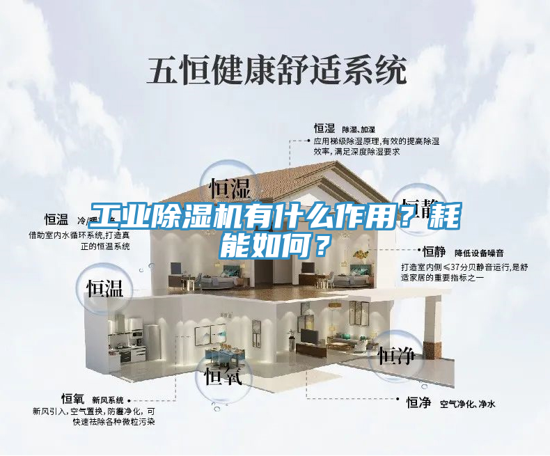 工業(yè)除濕機(jī)有什么作用？耗能如何？