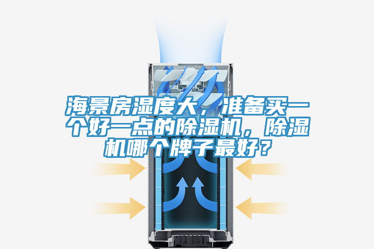 海景房濕度大，準(zhǔn)備買一個(gè)好一點(diǎn)的除濕機(jī)，除濕機(jī)哪個(gè)牌子最好？