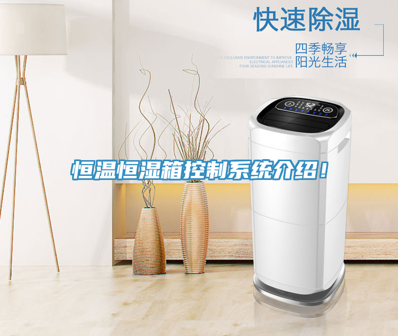 恒溫恒濕箱控制系統(tǒng)介紹！
