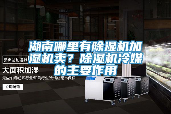 湖南哪里有除濕機(jī)加濕機(jī)賣？除濕機(jī)冷媒的主要作用