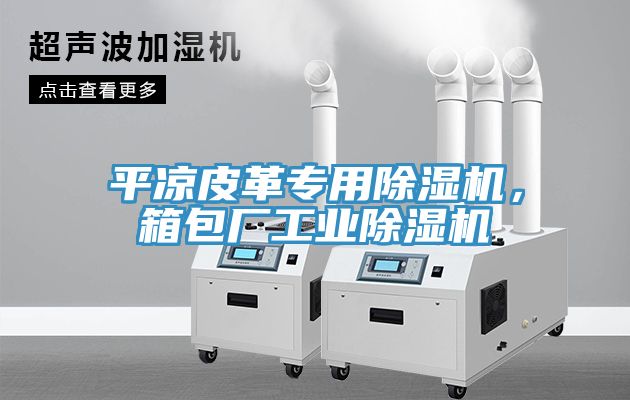 平?jīng)銎じ飳Ｓ贸凉駲C，箱包廠工業(yè)除濕機