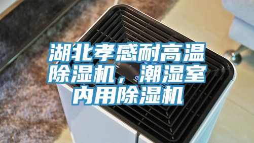 湖北孝感耐高溫除濕機(jī)，潮濕室內(nèi)用除濕機(jī)