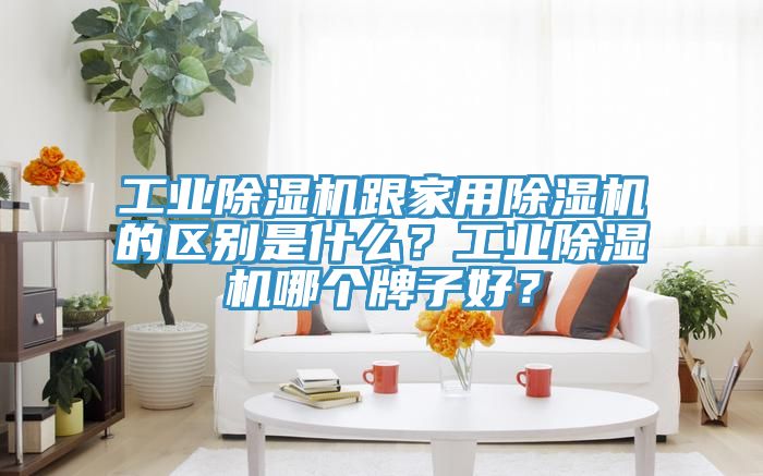 工業(yè)除濕機跟家用除濕機的區(qū)別是什么？工業(yè)除濕機哪個牌子好？