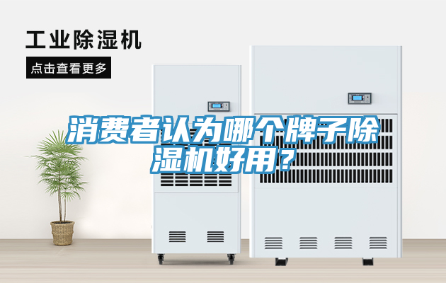消費(fèi)者認(rèn)為哪個(gè)牌子除濕機(jī)好用？
