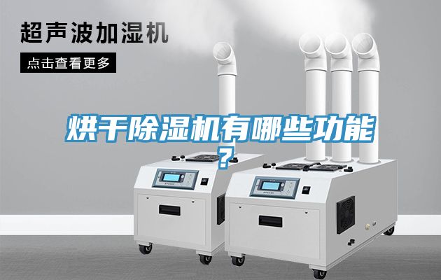 烘干除濕機有哪些功能？