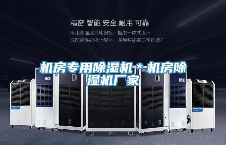 機(jī)房專(zhuān)用除濕機(jī)＊機(jī)房除濕機(jī)廠家