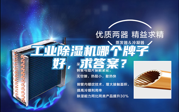 工業(yè)除濕機哪個牌子好，求答案？