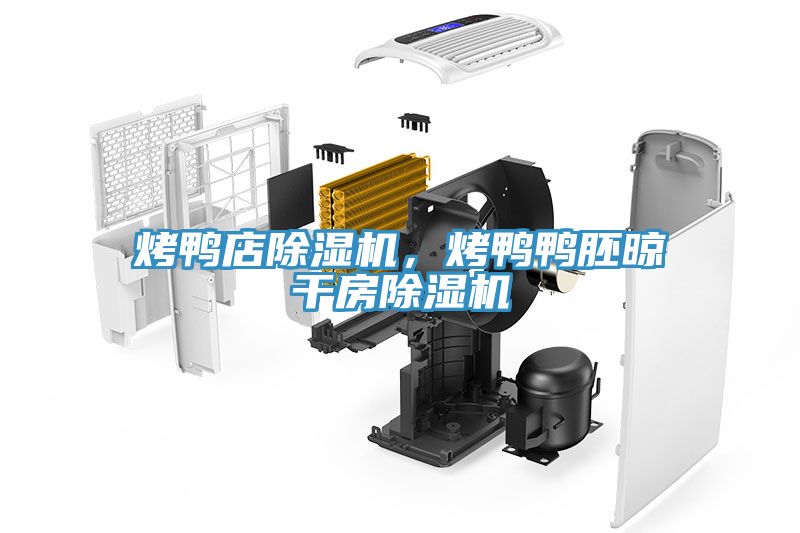 烤鴨店除濕機，烤鴨鴨胚晾干房除濕機