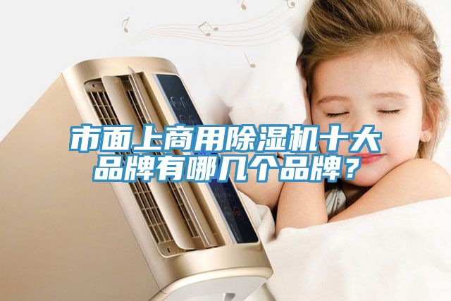 市面上商用除濕機(jī)十大品牌有哪幾個(gè)品牌？