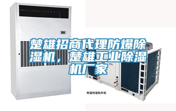楚雄招商代理防爆除濕機，楚雄工業(yè)除濕機廠家