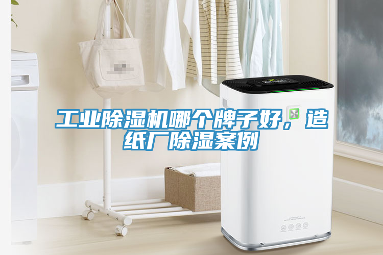 工業(yè)除濕機(jī)哪個(gè)牌子好，造紙廠除濕案例