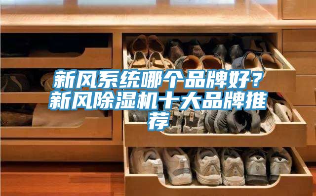 新風(fēng)系統(tǒng)哪個品牌好？新風(fēng)除濕機(jī)十大品牌推薦