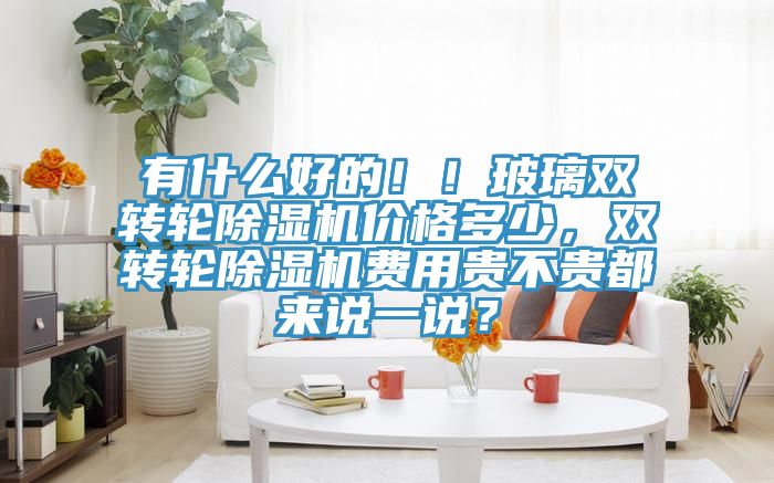 有什么好的！！玻璃雙轉(zhuǎn)輪除濕機(jī)價(jià)格多少，雙轉(zhuǎn)輪除濕機(jī)費(fèi)用貴不貴都來說一說？