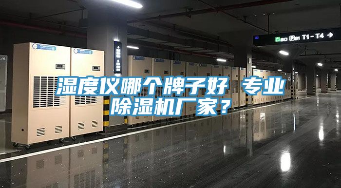 濕度儀哪個牌子好 專業(yè)除濕機廠家？