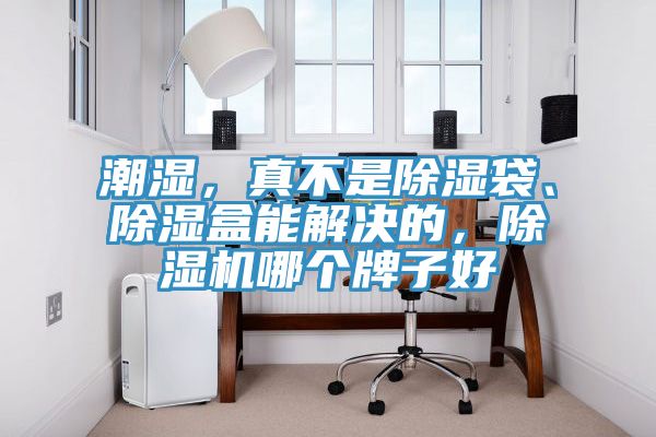 潮濕，真不是除濕袋、除濕盒能解決的，除濕機哪個牌子好