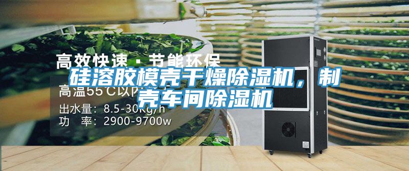 硅溶膠模殼干燥除濕機，制殼車間除濕機