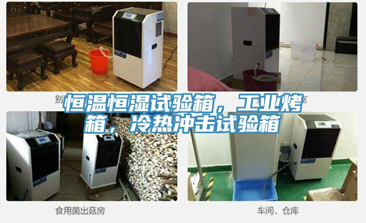 恒溫恒濕試驗箱，工業(yè)烤箱，冷熱沖擊試驗箱