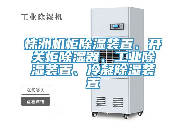 株洲機(jī)柜除濕裝置、開關(guān)柜除濕器、工業(yè)除濕裝置、冷凝除濕裝置