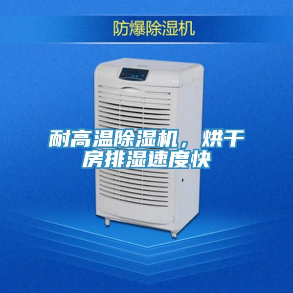 耐高溫除濕機(jī)，烘干房排濕速度快