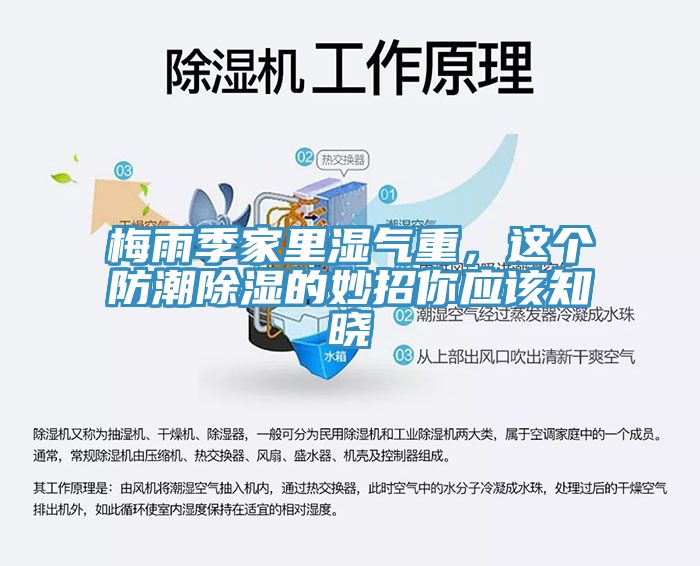 梅雨季家里濕氣重，這個(gè)防潮除濕的妙招你應(yīng)該知曉