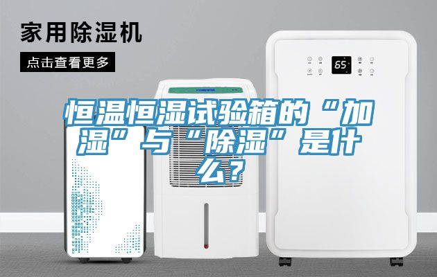 恒溫恒濕試驗箱的“加濕”與“除濕”是什么？