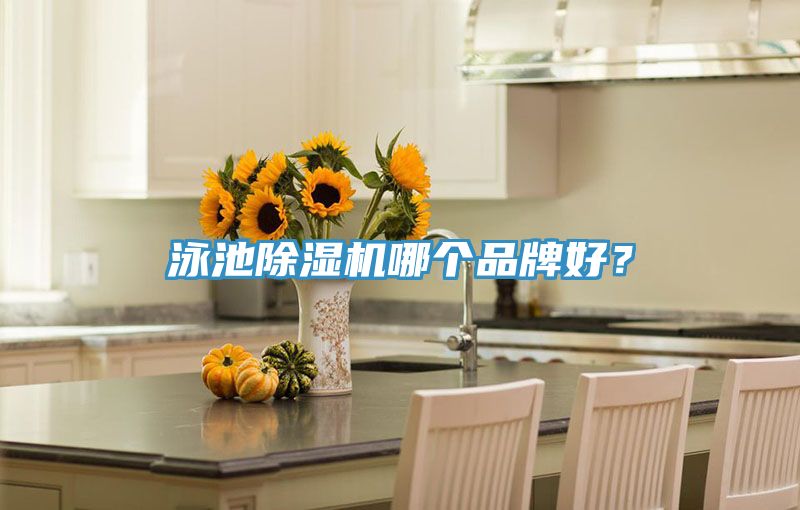 泳池除濕機(jī)哪個(gè)品牌好？
