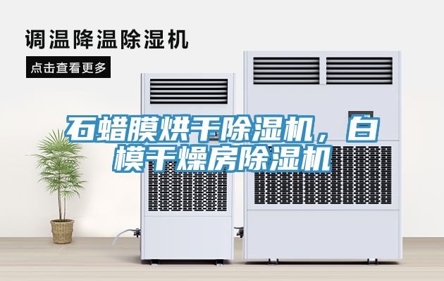 石蠟?zāi)ず娓沙凉駲C(jī)，白模干燥房除濕機(jī)