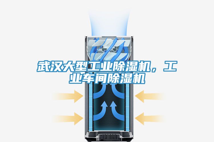 武漢大型工業(yè)除濕機，工業(yè)車間除濕機