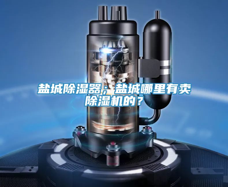 鹽城除濕器；鹽城哪里有賣除濕機(jī)的？
