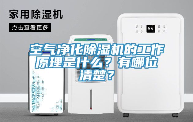 空氣凈化除濕機的工作原理是什么？有哪位清楚？