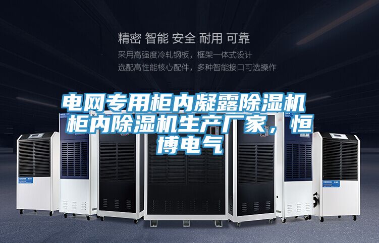 電網(wǎng)專用柜內(nèi)凝露除濕機(jī) 柜內(nèi)除濕機(jī)生產(chǎn)廠家，恒博電氣