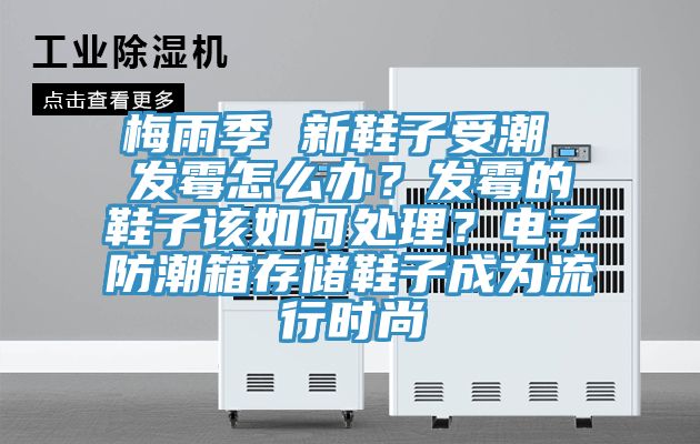 梅雨季 新鞋子受潮 發(fā)霉怎么辦？發(fā)霉的鞋子該如何處理？電子防潮箱存儲(chǔ)鞋子成為流行時(shí)尚