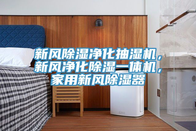 新風除濕凈化抽濕機，新風凈化除濕一體機，家用新風除濕器