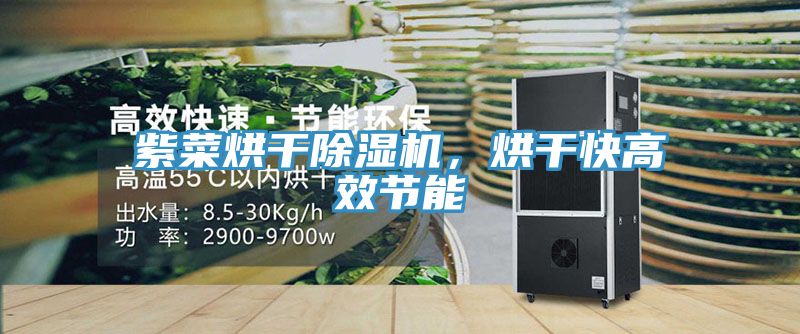 紫菜烘干除濕機(jī)，烘干快高效節(jié)能