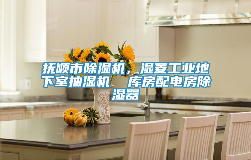 撫順市除濕機，濕菱工業(yè)地下室抽濕機  庫房配電房除濕器