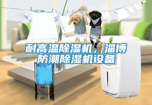 耐高溫除濕機(jī)，淄博防潮除濕機(jī)設(shè)備