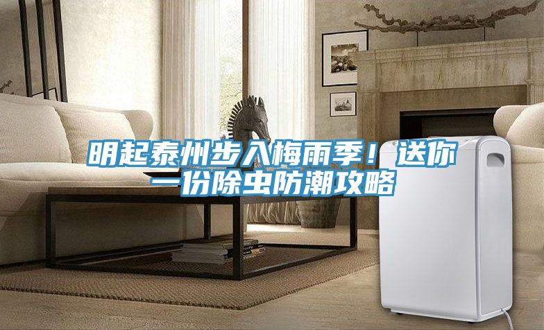 明起泰州步入梅雨季！送你一份除蟲防潮攻略